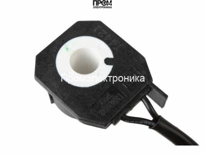 Электромагнитная катушка Riello 3007481