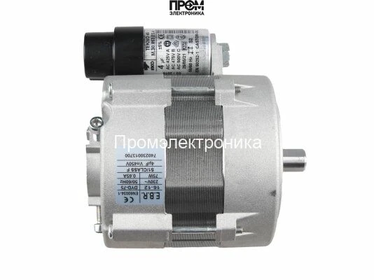 Электродвигатель Elco EBR DYD-75 F100