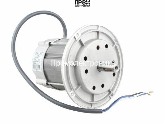 Электродвигатель RHE 250 Вт (605SE)