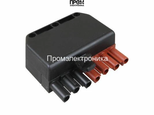 Штекер Wieland 7P, папа